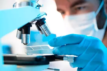 best pathology lab in madhepura, best lab for blood test in madhepura, best nabl lab in madhepura